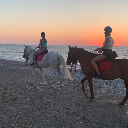 Maison Caroual Erquy 500M De La Plage Εξωτερικό φωτογραφία