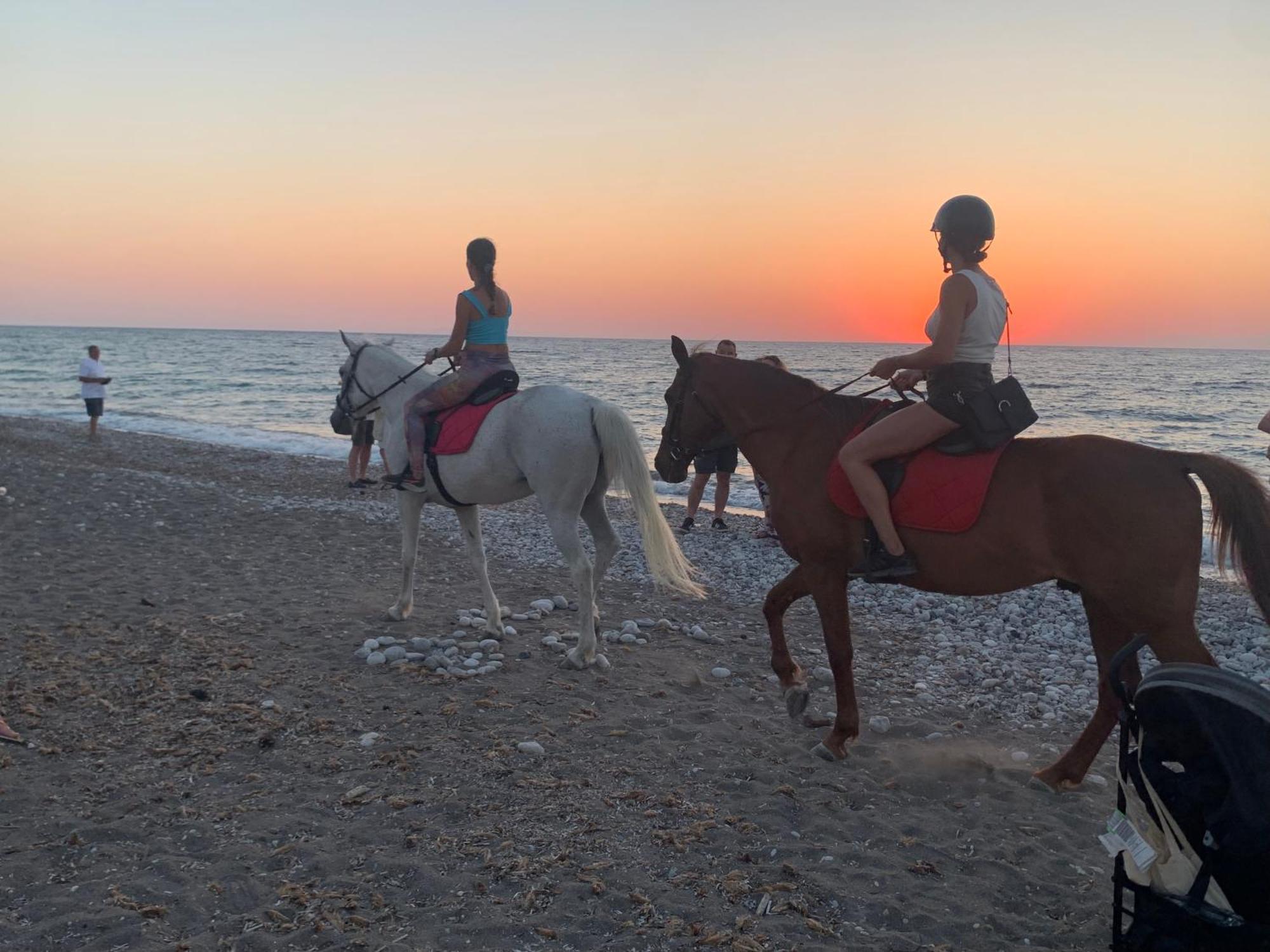 Maison Caroual Erquy 500M De La Plage Εξωτερικό φωτογραφία